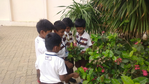 Nature Walk of Class 2
