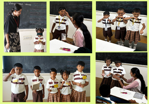 English Activity: Using your senses