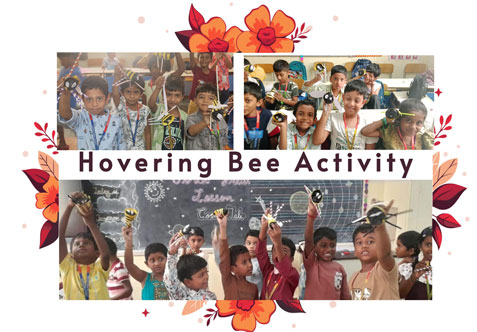 Hovering Bee Activity