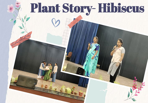 Plant Story- Hibiscus
