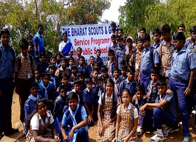 About Scouts